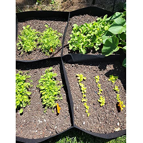 CJGQ Fabric Raised Garden Bed 6x3x1ft Garden Grow Bed Bags for Growing Herbs, Flowers and Vegetables 128 Gallon