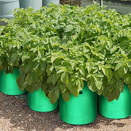 SunArea 7 Gallon Potato Grow Bags 5 Pack Heavy-Duty Plant Grow Bag with Handles and Velcro Window, Thickened Nonwoven Fabric Pots for Tomato and Vegetables