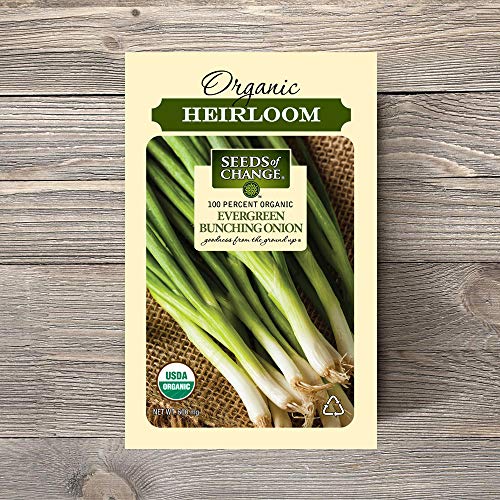 Seeds Of Change 8225 Evergreen Bunching Onion, Green