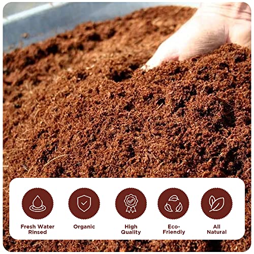 Premium Coco Coir Brick - 11 Pound / 5KG Coconut Coir - 100% Organic and Eco-Friendly - OMRI Listed - Natural Compressed Growing Medium - Potting Soil Substrate for Gardens, Seeds and Plants - 💙 Blu Rose's Garden LLC 💙