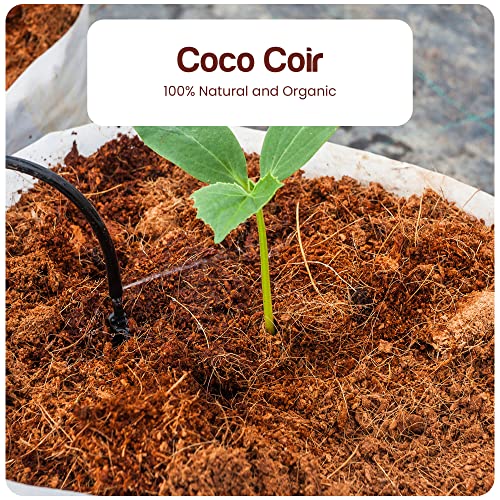 Premium Coco Coir Brick - 11 Pound / 5KG Coconut Coir - 100% Organic and Eco-Friendly - OMRI Listed - Natural Compressed Growing Medium - Potting Soil Substrate for Gardens, Seeds and Plants - 💙 Blu Rose's Garden LLC 💙