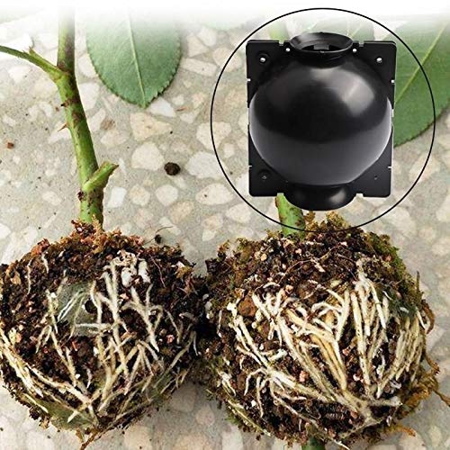 10 PCS Plant Rooting Ball Reusable Plant Rooting Device High Pressure Propagation Ball High Pressure Box Grafting for Various Plants